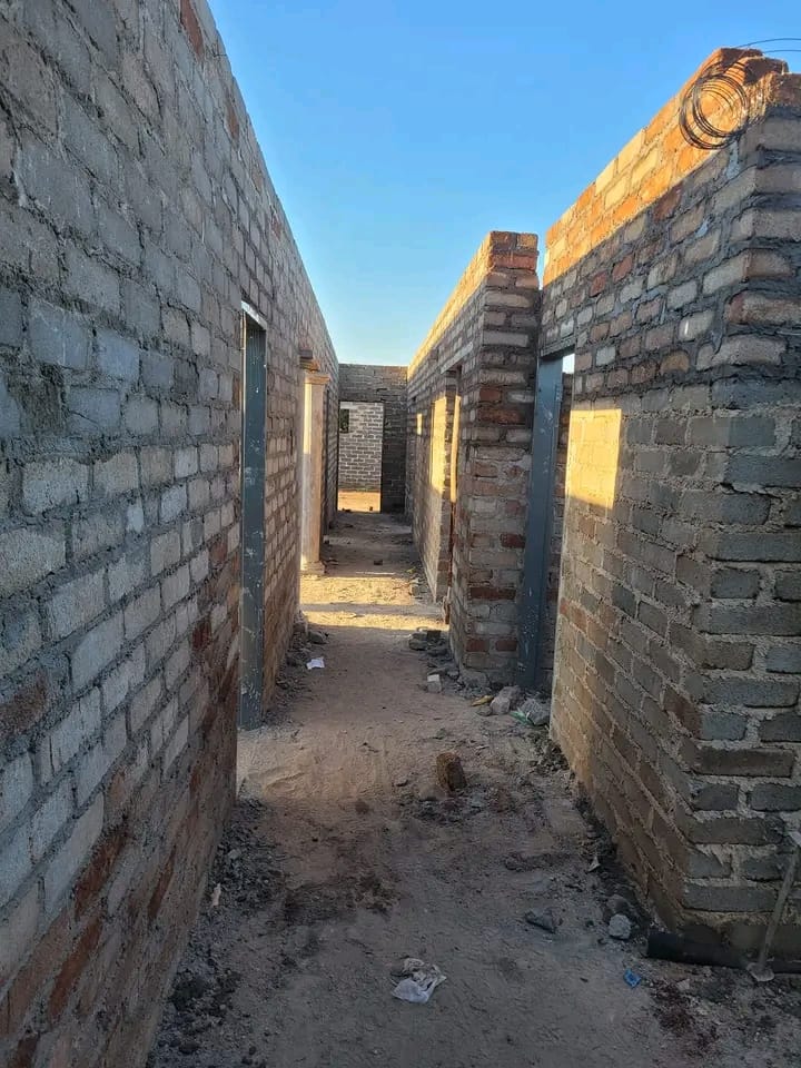 gallery16